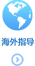 海外指导